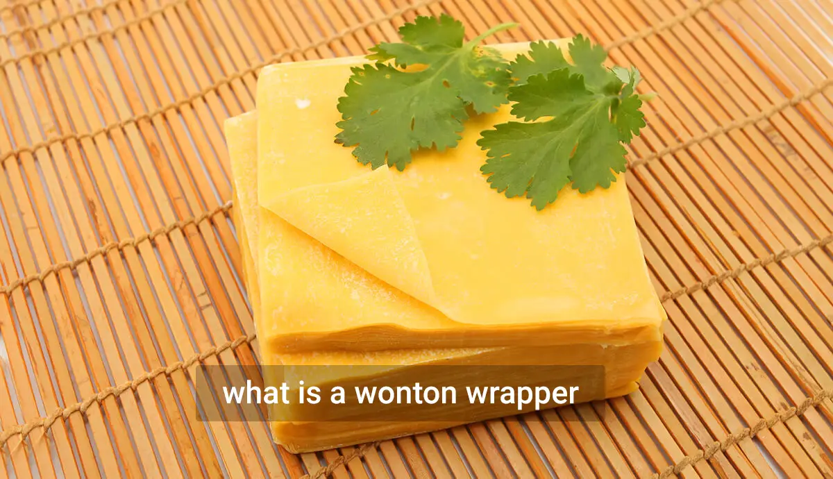 What is a wonton wrapper, what is made of and how to use