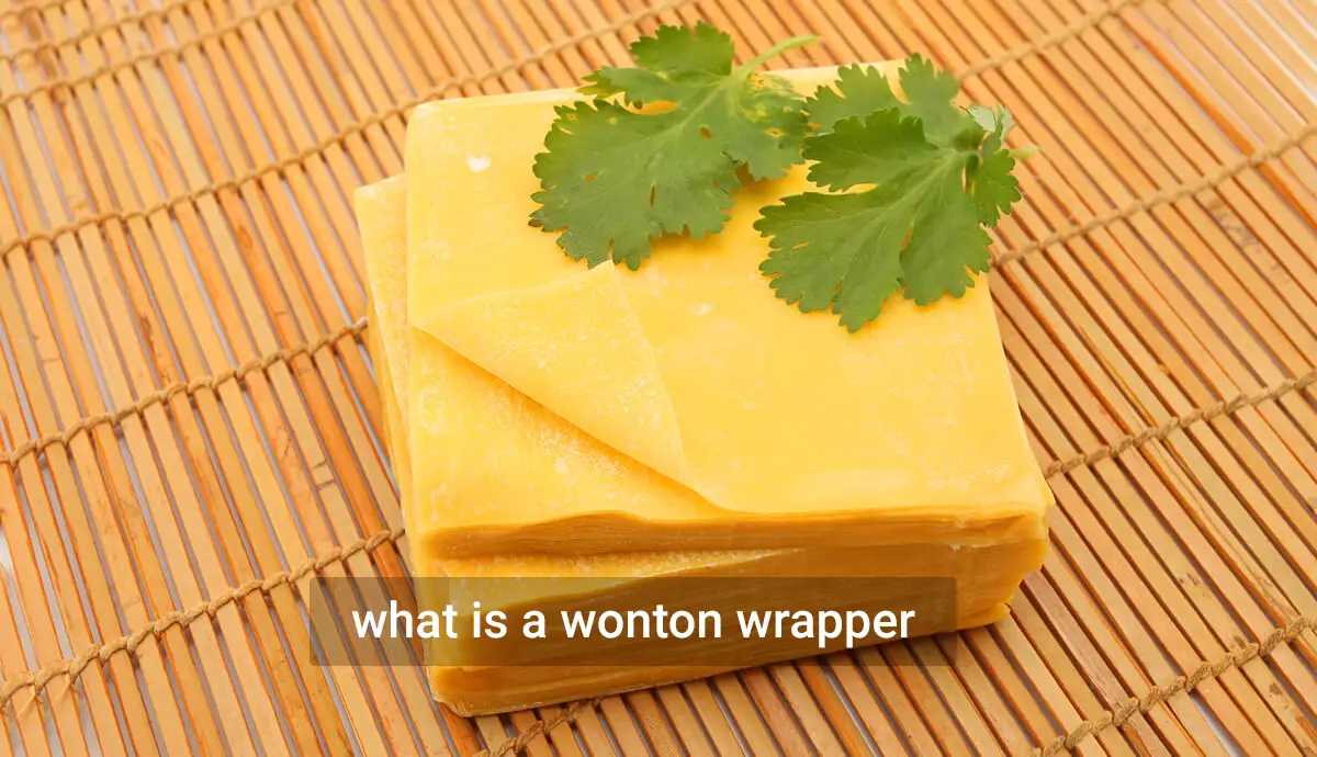 what-is-a-wonton-wrapper-infogrocery