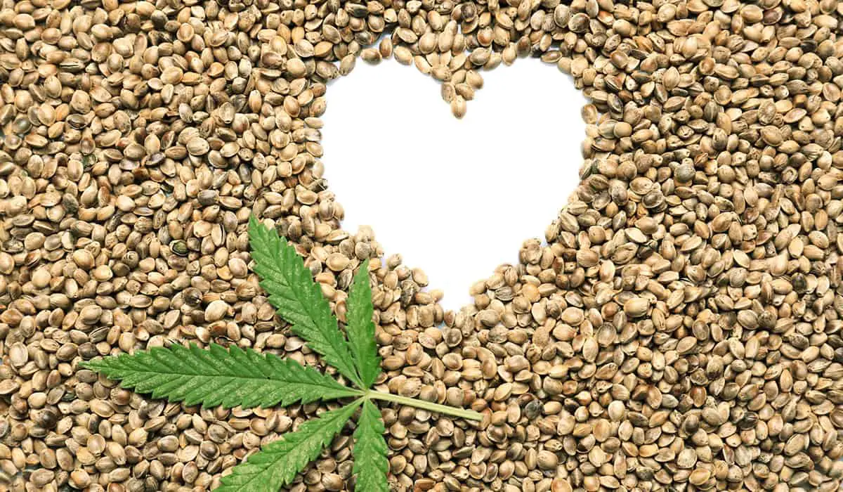 What you need to know abount eating and buying hemp seeds