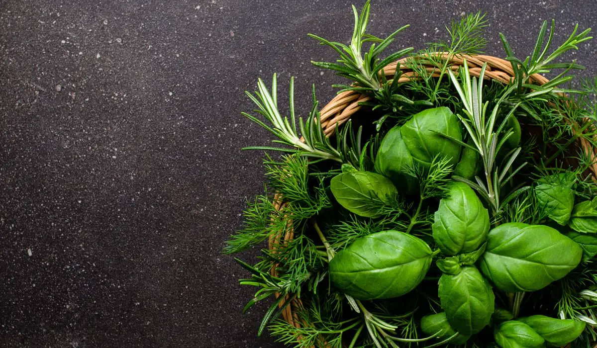 Tips to buy and store herbs, fresh or dried