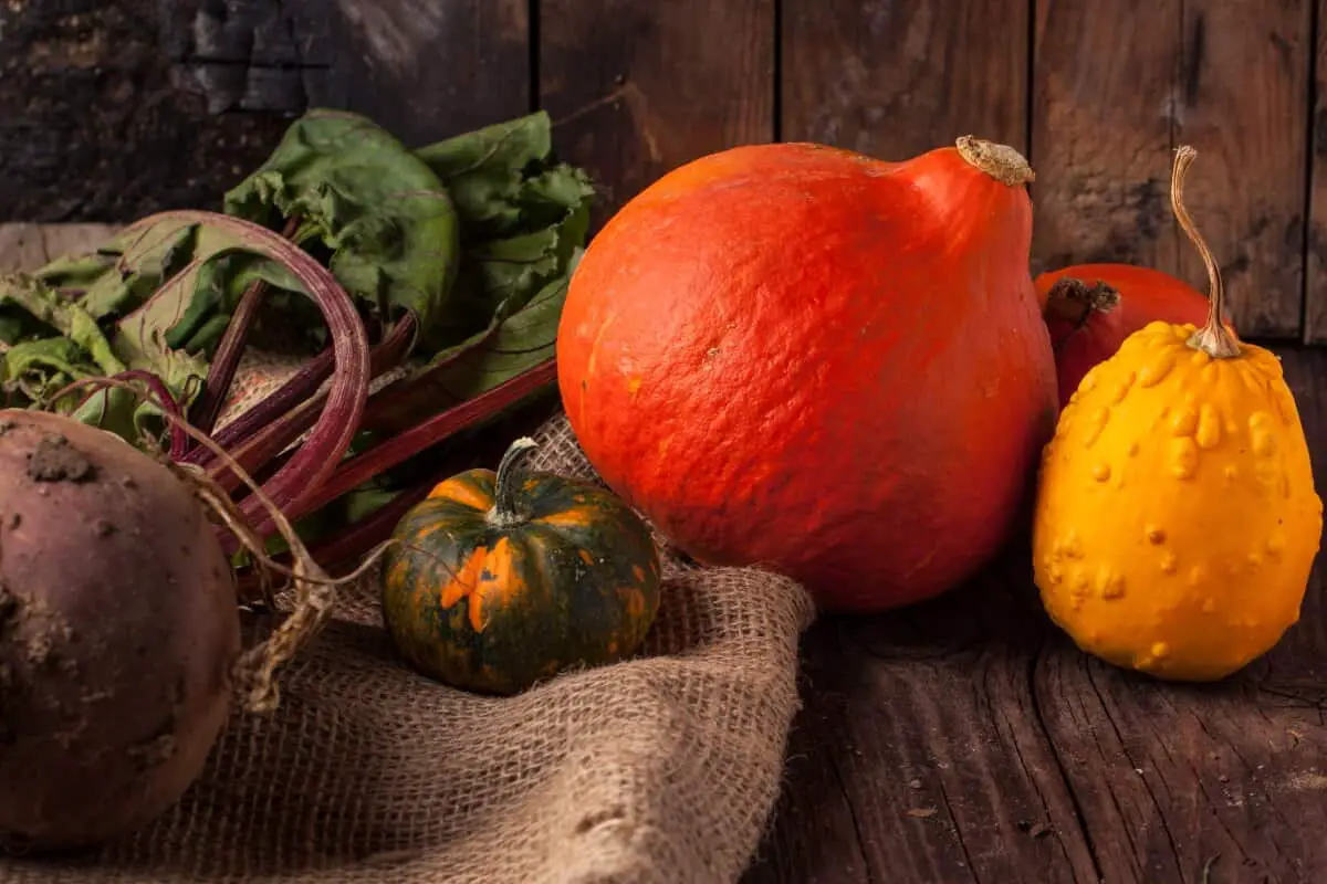 These seasonal fruits and veggies are available all across the United States in November