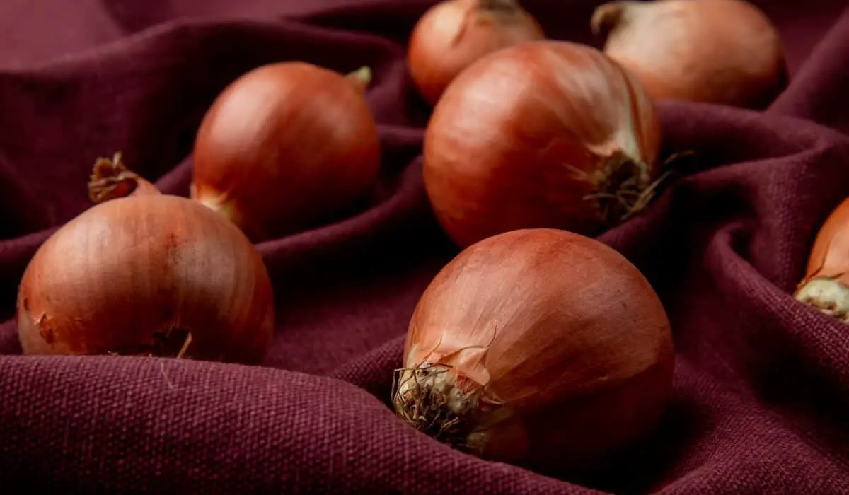 4 Essential tips to make onions last longer