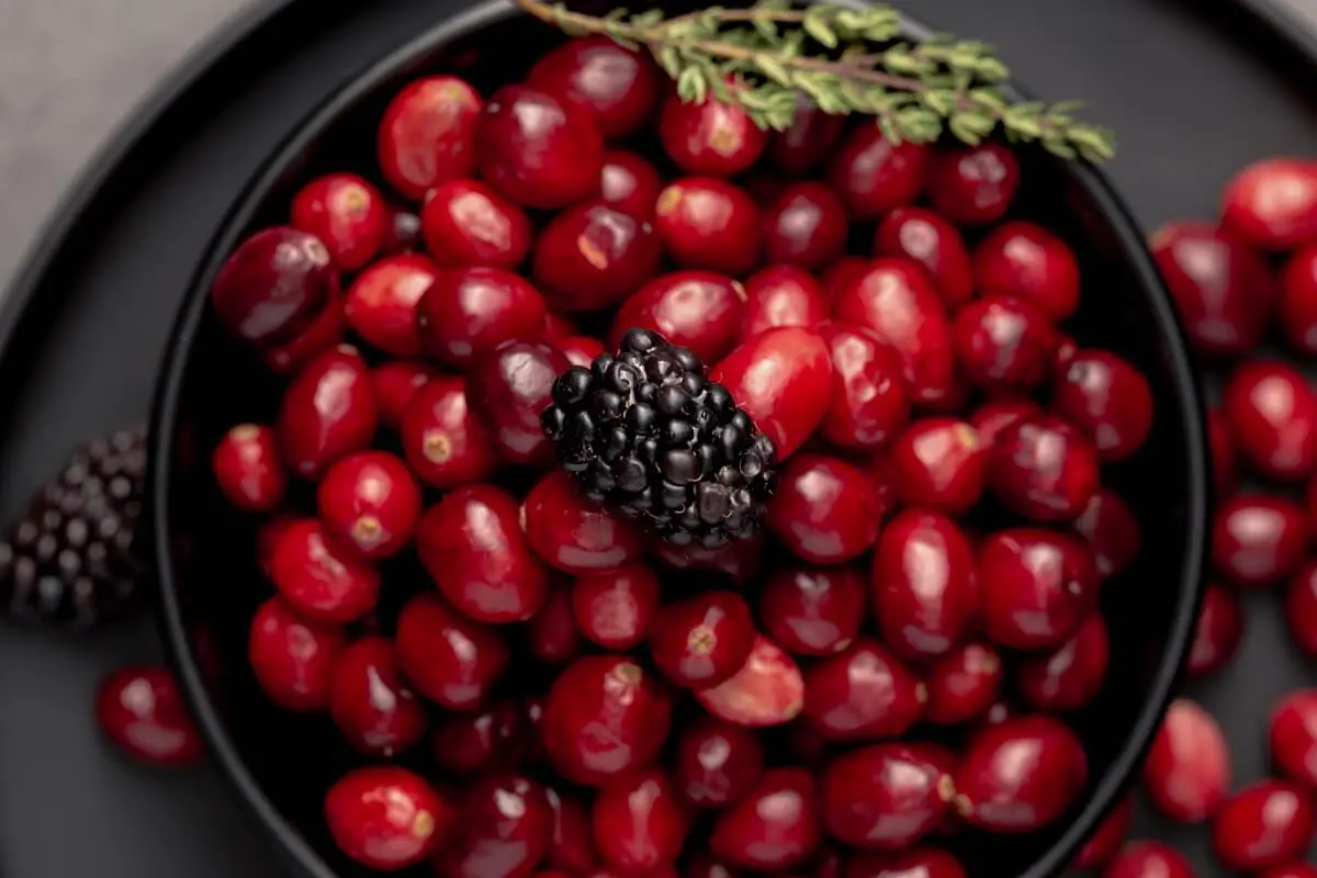 can you buy fresh cranberries all year