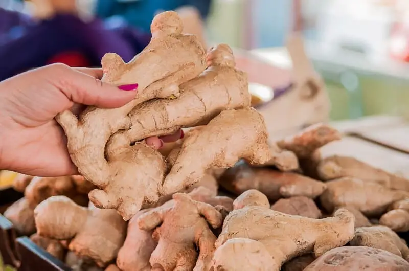 Essential tips for buying fresh ginger at the grocery store
