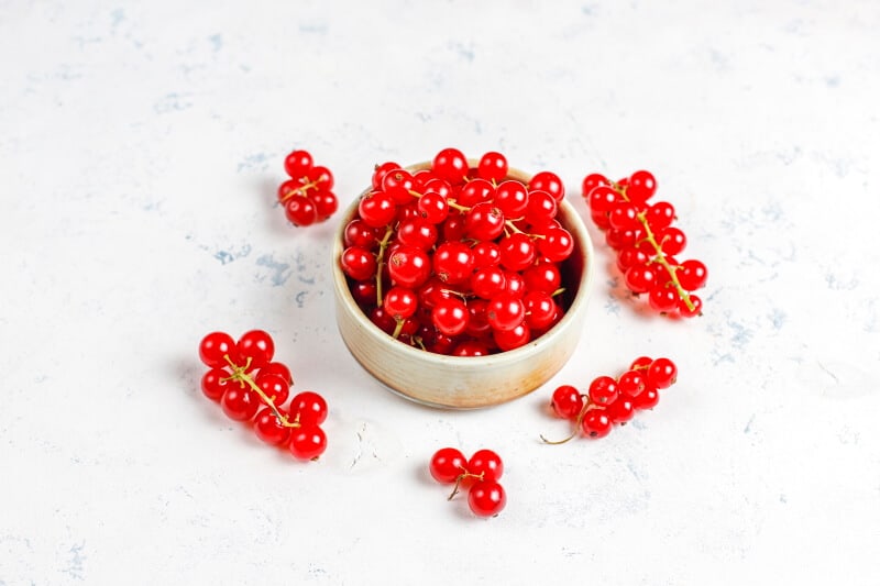 A guide to help you buying currants