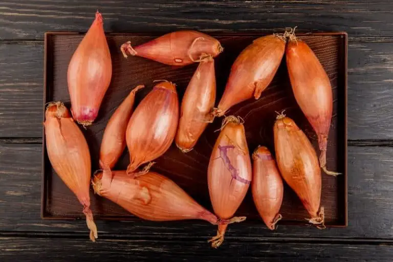 Buying Shallots at the Grocery Store A Complete Guide Infogrocery