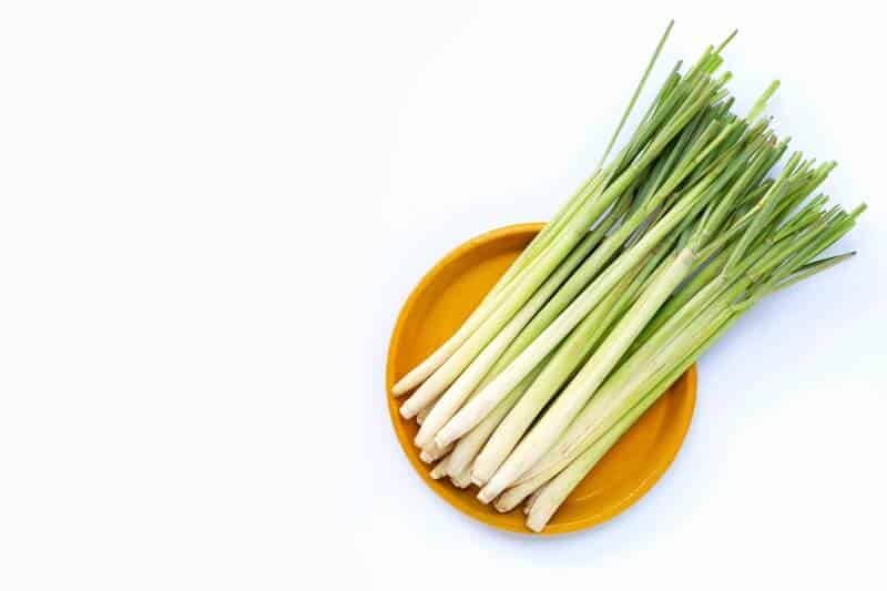 Buying lemongrass - Your grocery guide