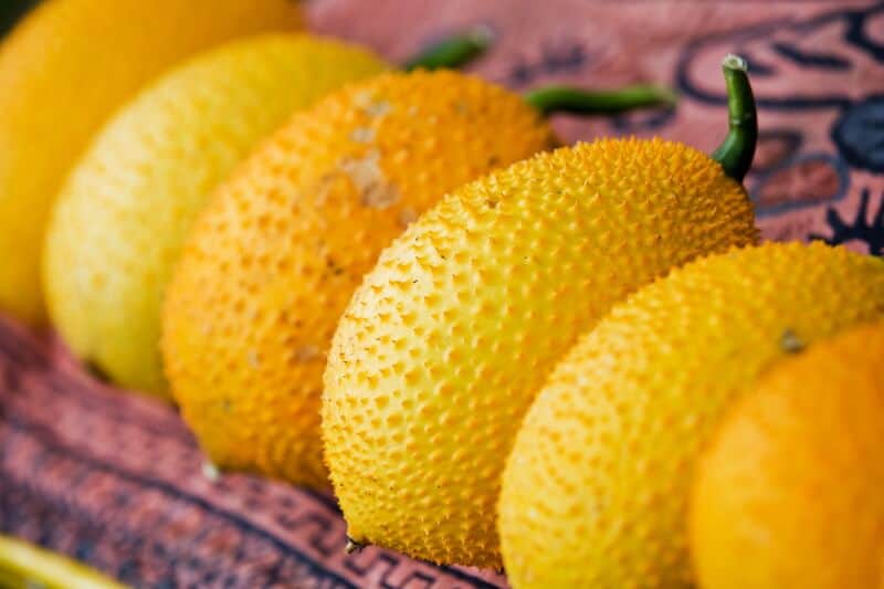 Where to find jackfruit at grocery store