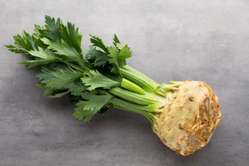 How to buy celery root fresh