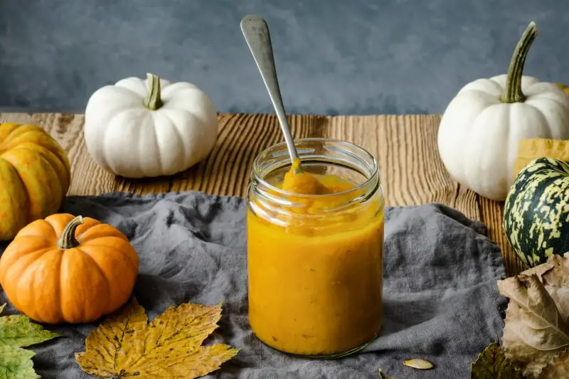 Guide to buying pumpkin puree