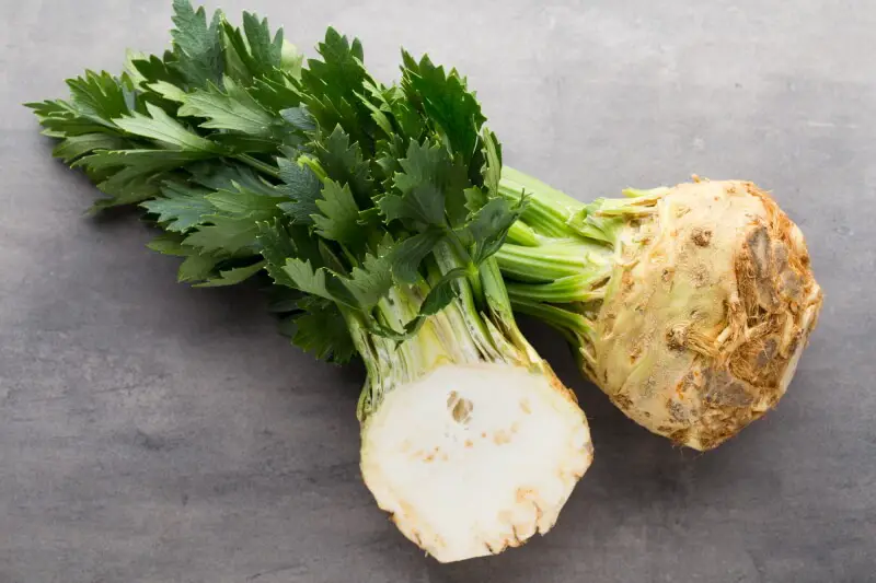 How does celery root look like