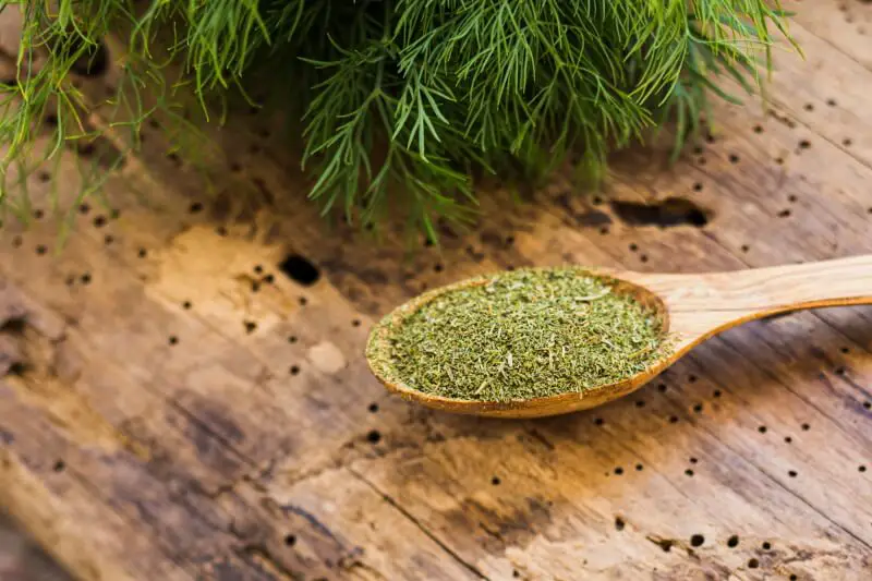 how to buy dill (fresh or dried)