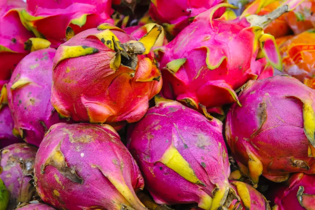 When choosing a Dragon Fruit, pay attention to its skin and leaves