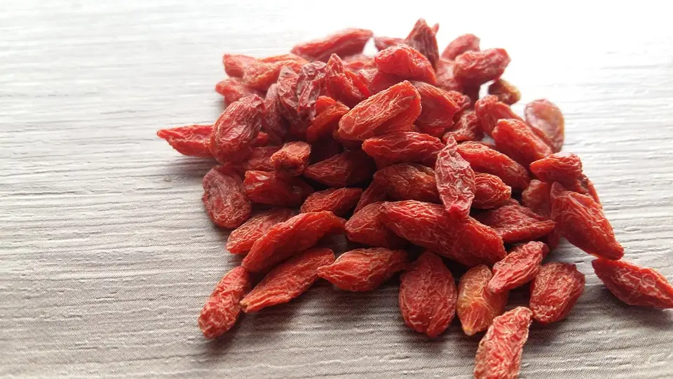 Goji berries prolong life, give energy, and rejuvenate the body
