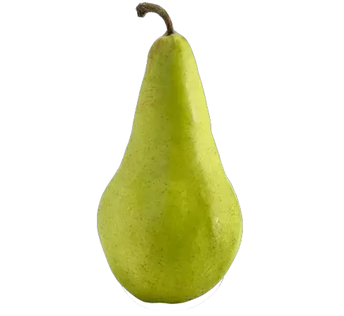 Concorde pears are crisp, sweet, and juicy