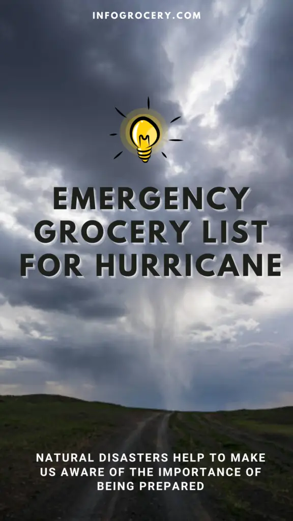 Natural disasters help to make us aware of the importance of being prepared. One of the best things you can do is to be prepared for emergencies. Having an emergency grocery list will ensure you have everything needed.