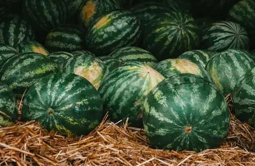 Large watermelons are more expensive than small ones