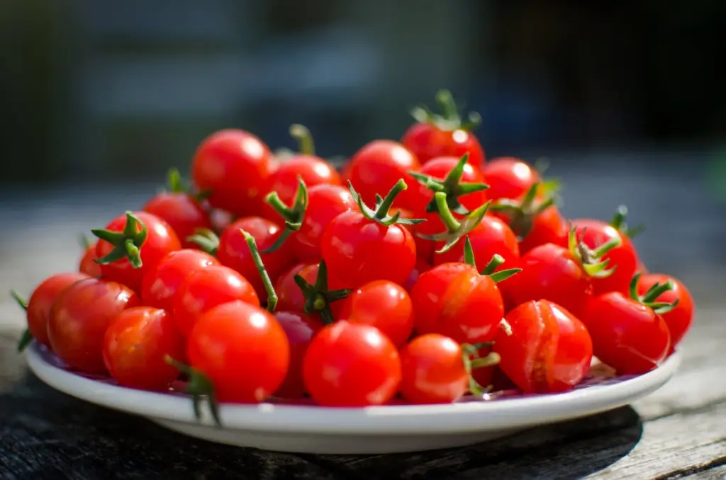 Cherry tomatoes are one of the most popular tomato varieties