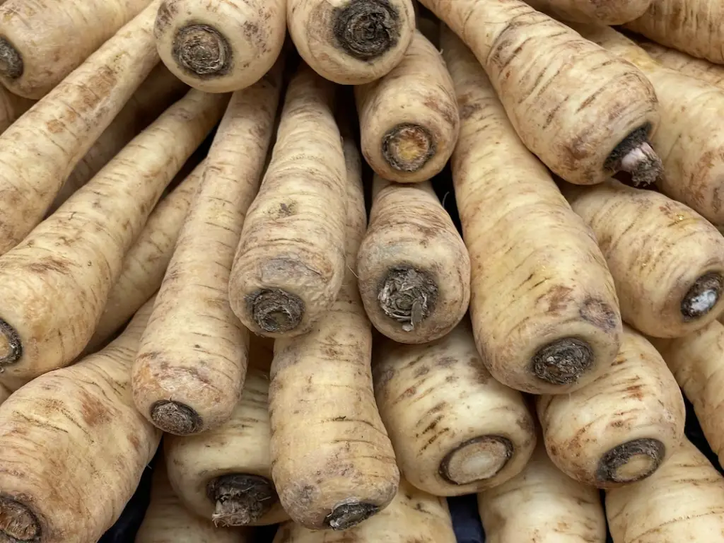 Parsnip is a vegetable with a spicy taste and beneficial properties