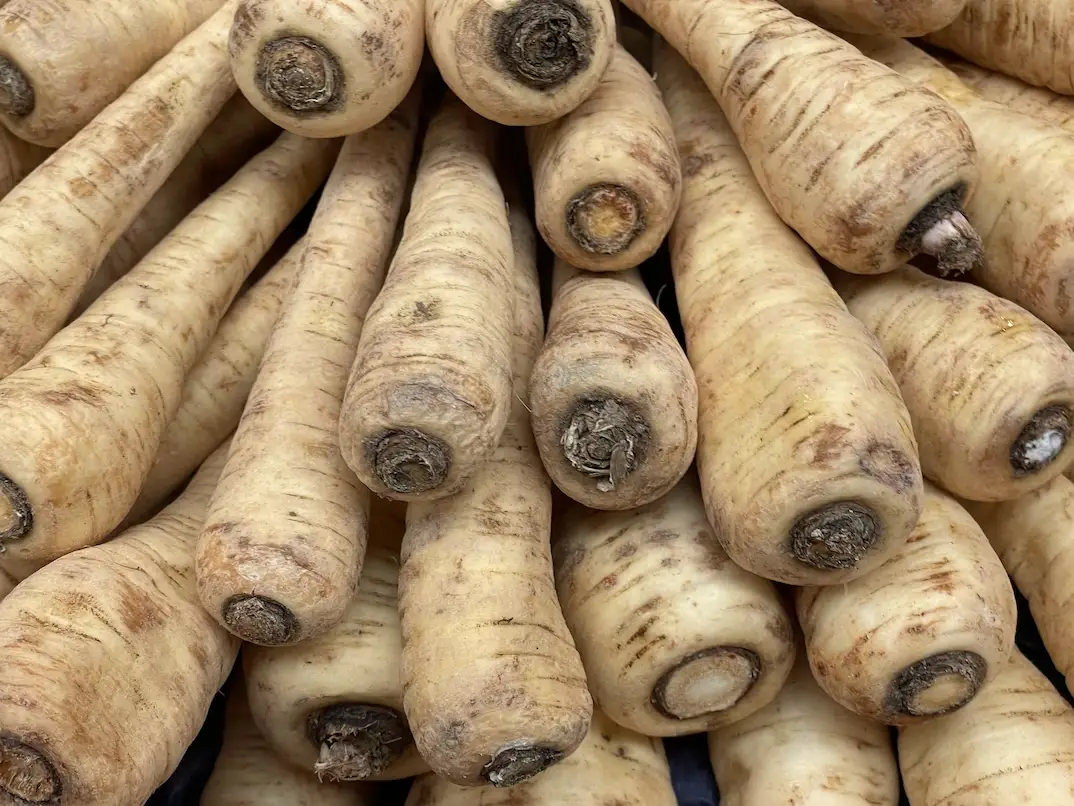 Parsnip is a vegetable with a spicy taste and beneficial properties.