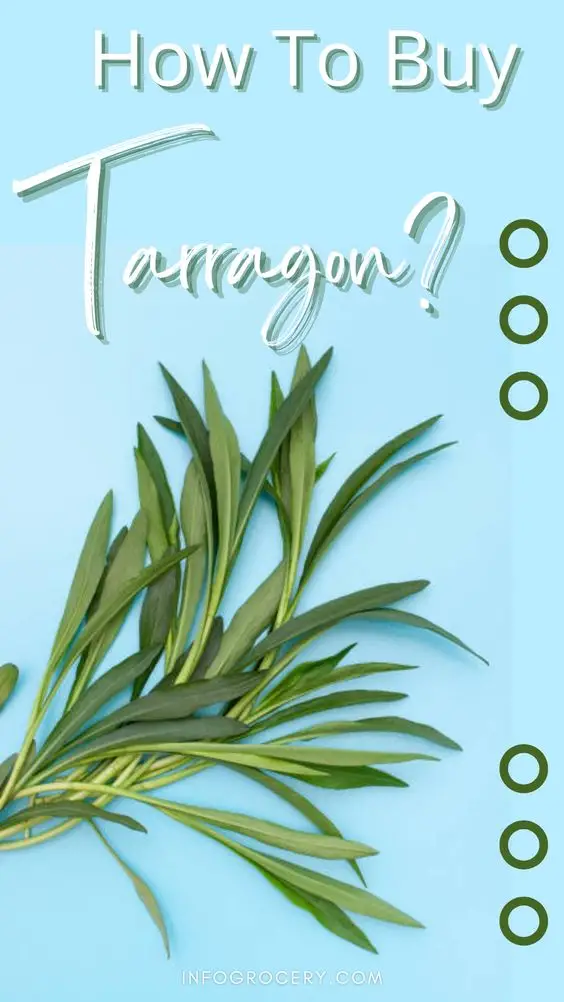 To many people, buying Tarragon looks like the simple act of going to the market and picking them. You must be aware of certain things to get the best quality of these leafy green herbs. 