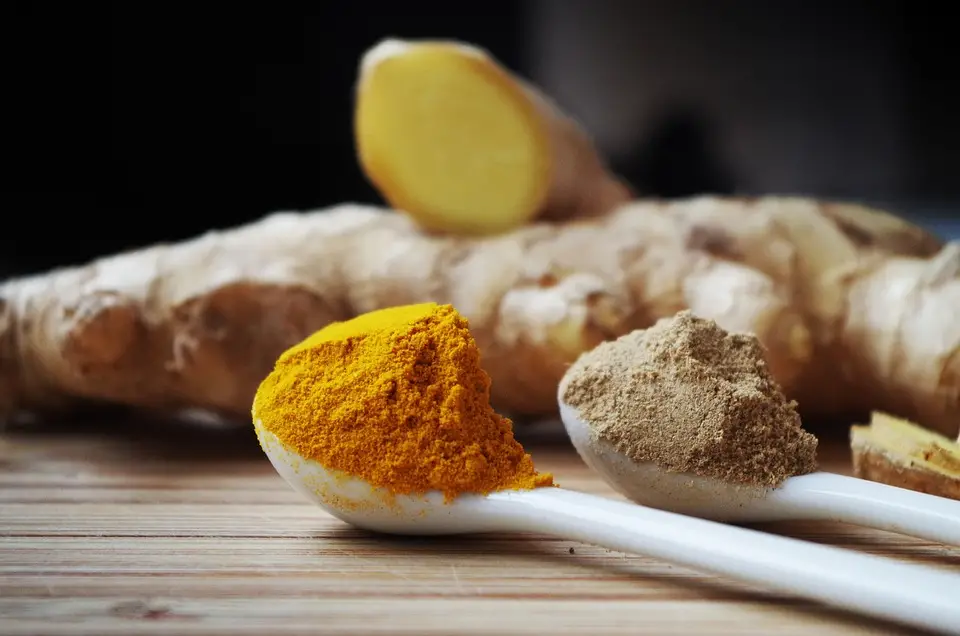 Turmeric is a root of the ginger family used as a spice, dye, and for medicinal purposes