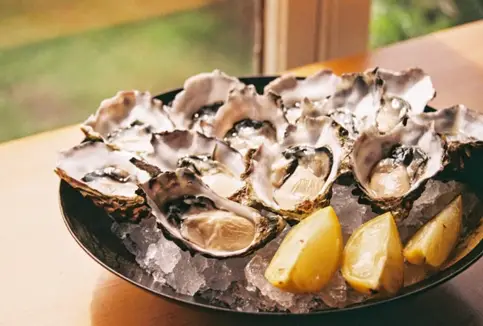 Eating oysters regularly can help support overall health
