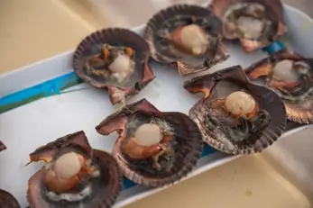 Soy sauce nicely sets off the sweet taste of Sea Scallops