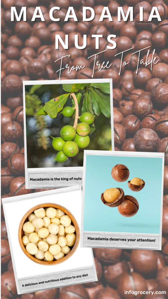 There are many different types of nuts and everyone can choose the right one for their menu. But there is a nut that everyone should try - Macadamia. 