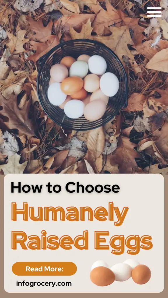 Each time you buy humanely raised eggs, you’re improving the lives of countless hens by leaps and bounds. 